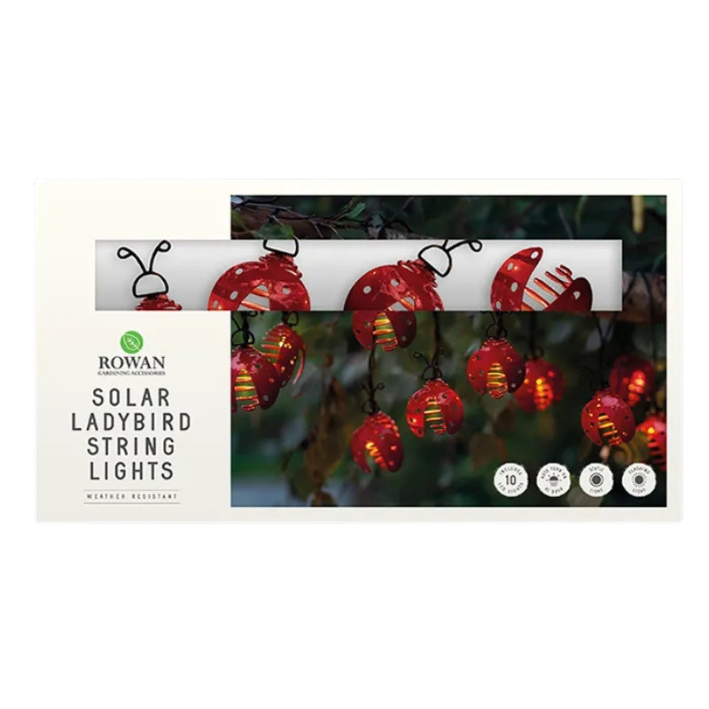 10 Solar Ladybird String Lights