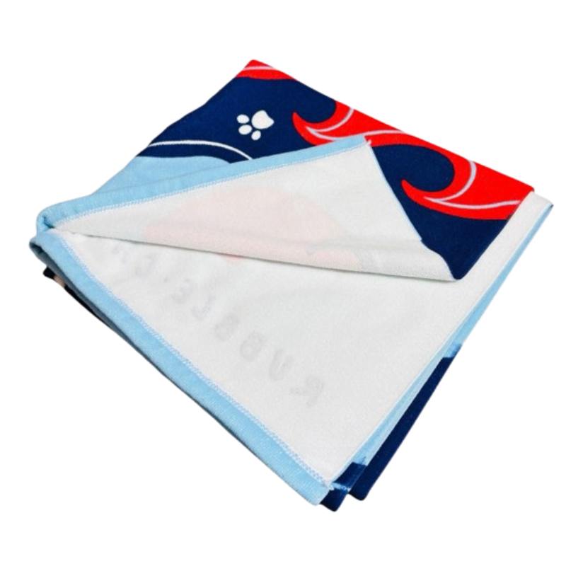 Official Paw Patrol Microfibre Towel