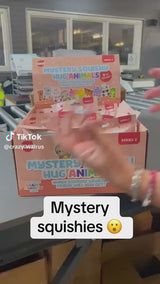 Mystery Squishy Hug Animal